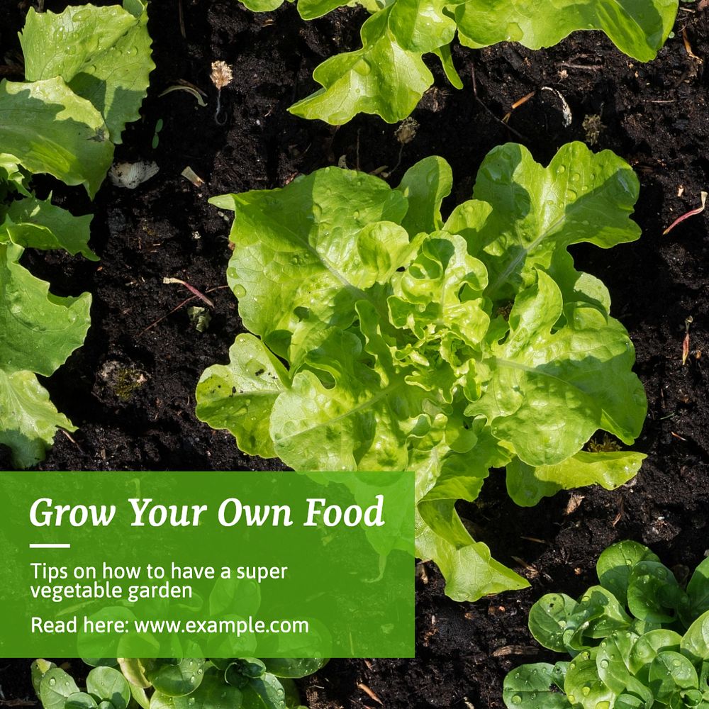 Grow your food Instagram post template, editable text