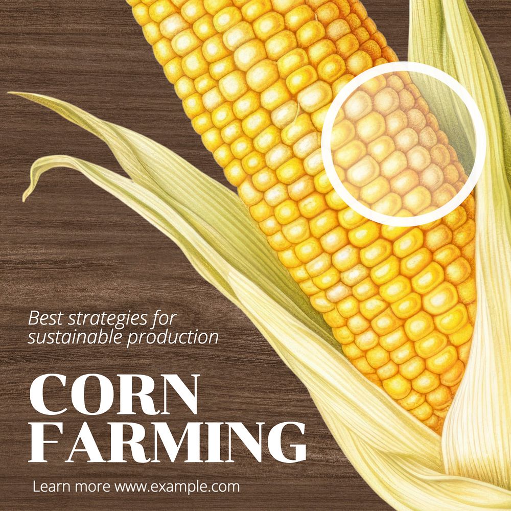 Corn farming Instagram post template, editable text