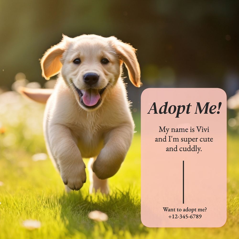 Pet adoption Instagram post template, editable text