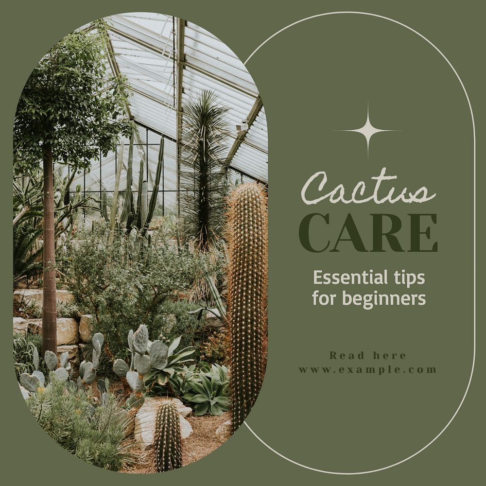 Cactus care Instagram post template, editable text