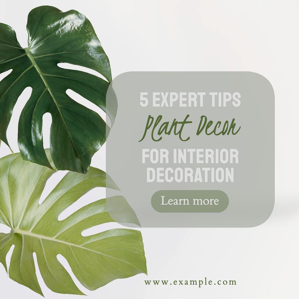 Plant decor Facebook post template, editable design