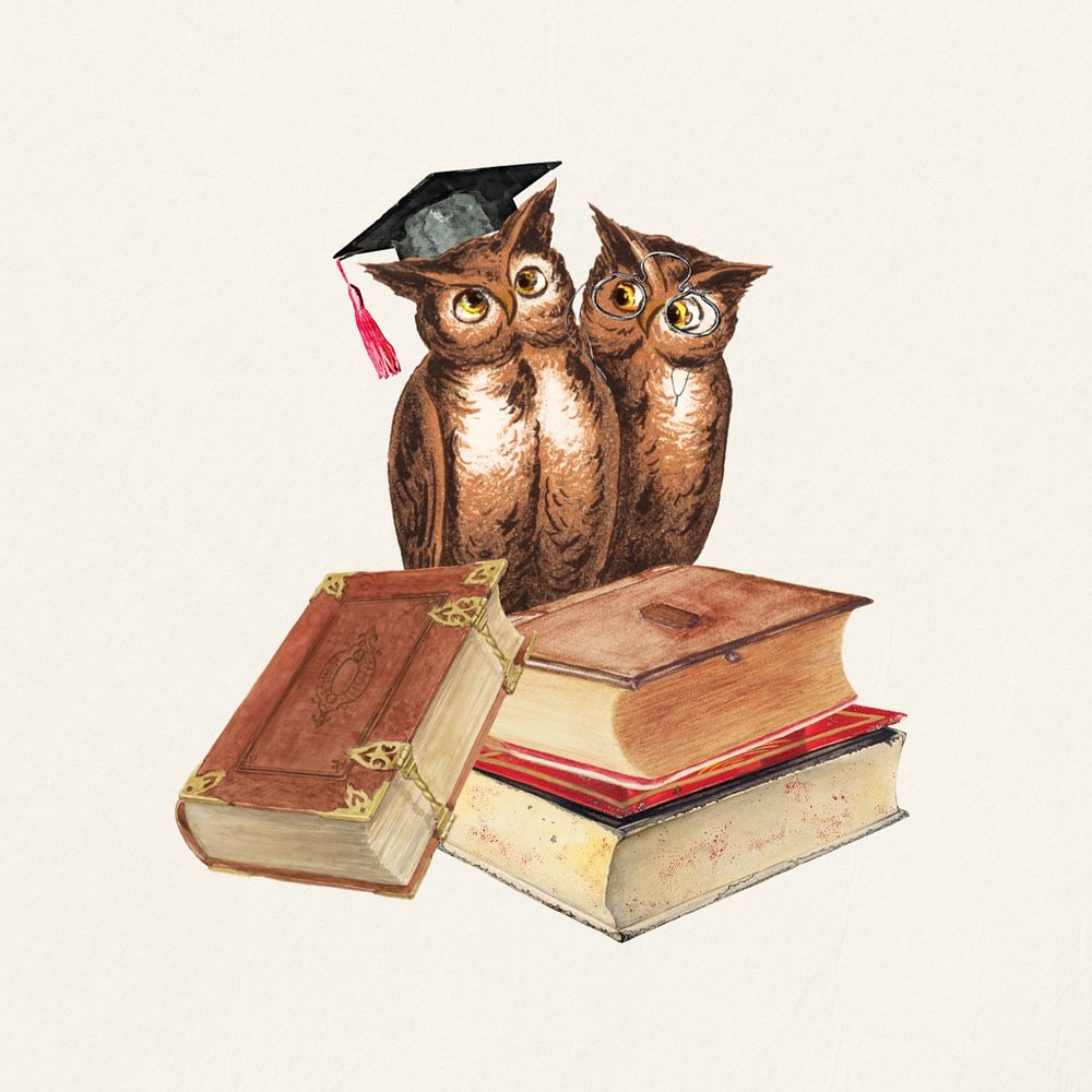 Study owl, education graduation collage remix editable design