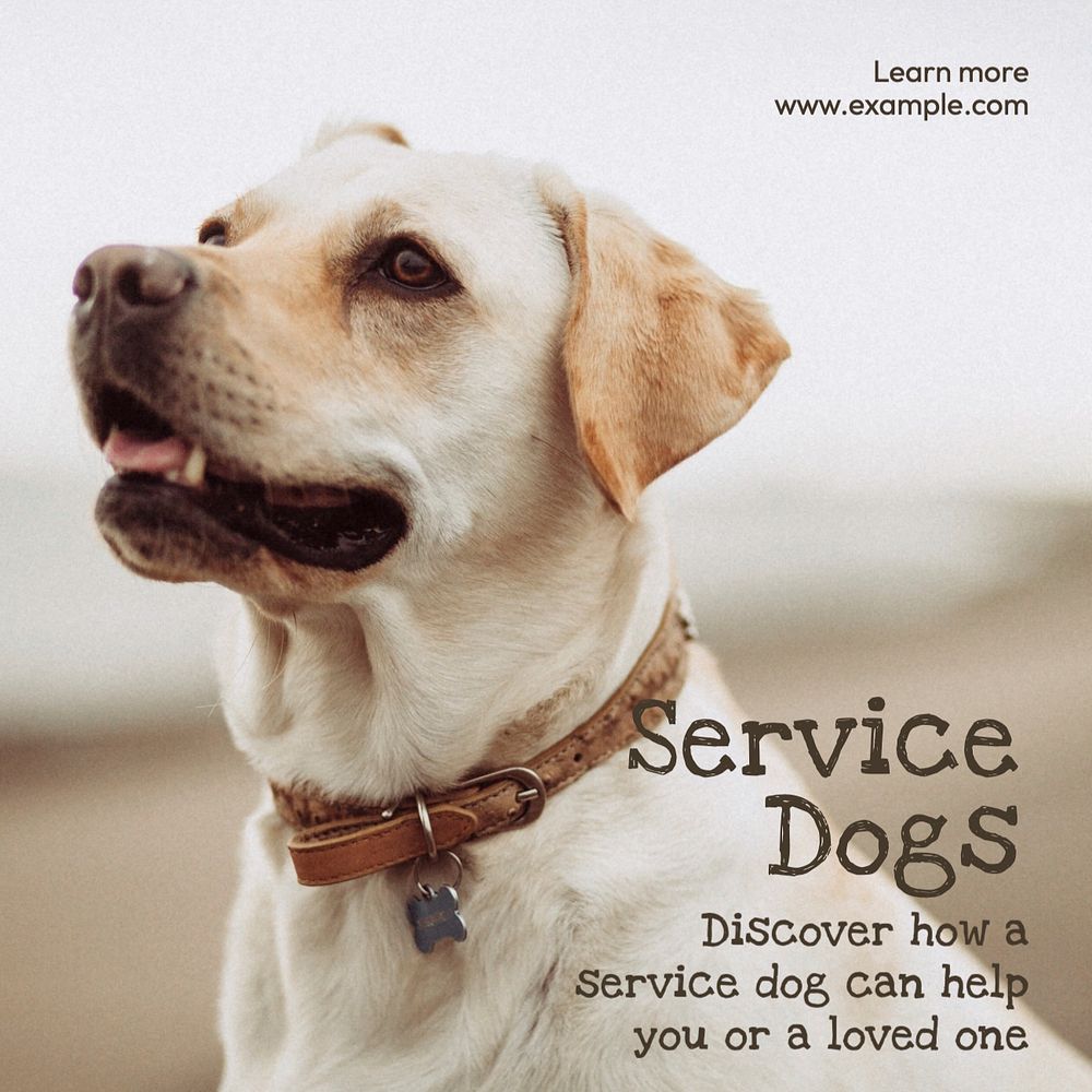 Service dogs Facebook post template, editable design