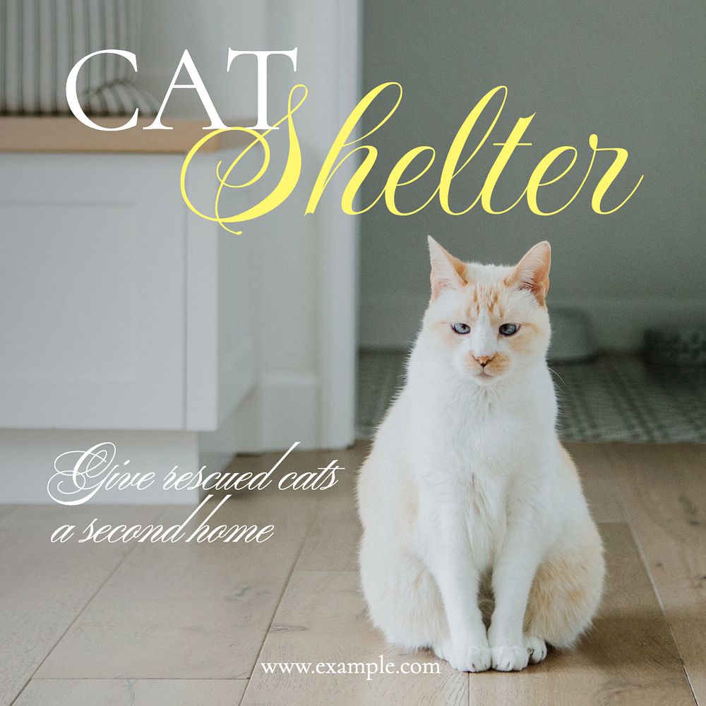 Cat shelter Facebook post template, editable design