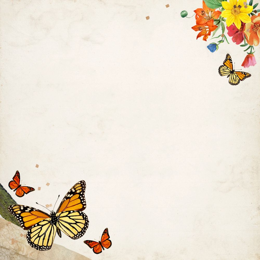 Old paper textured background, colorful butterfly border, editable design