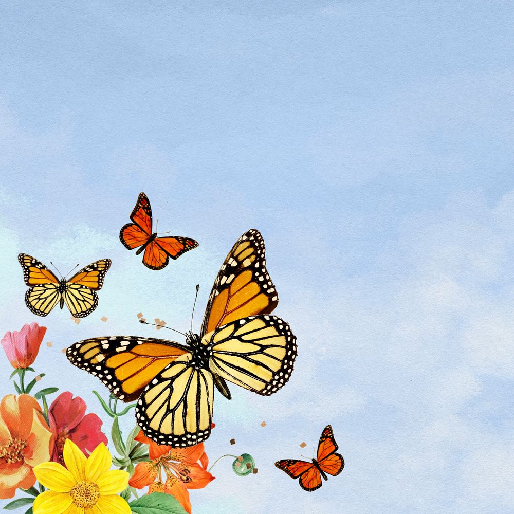 Blue sky background, colorful butterfly border, editable design