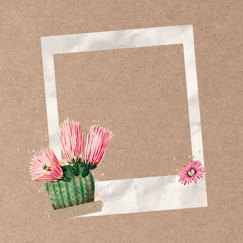 Cactus flower instant film frame, creative remix, editable design