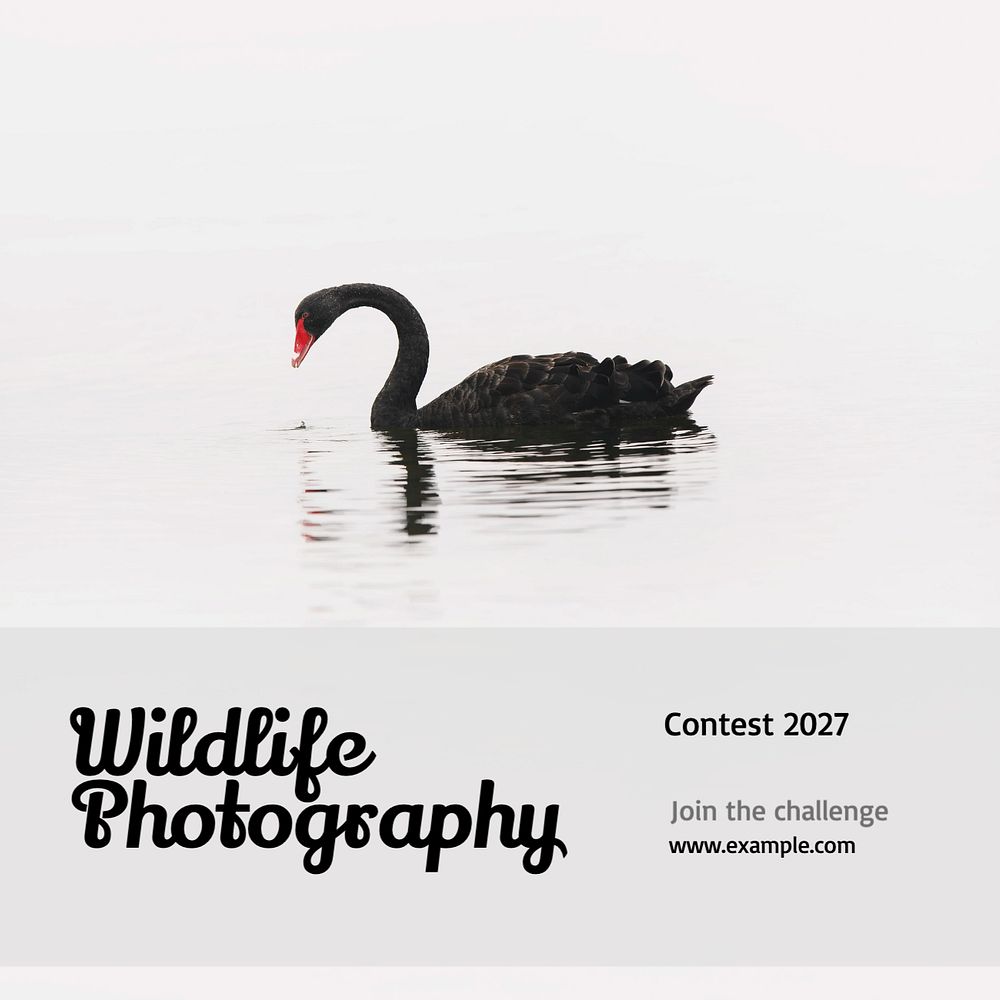 Wildlife photography contest Instagram post template, editable text