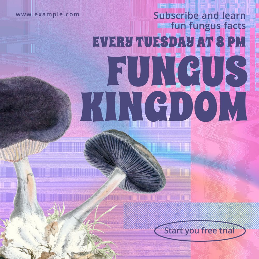 Fungus kingdom Instagram post template, editable design