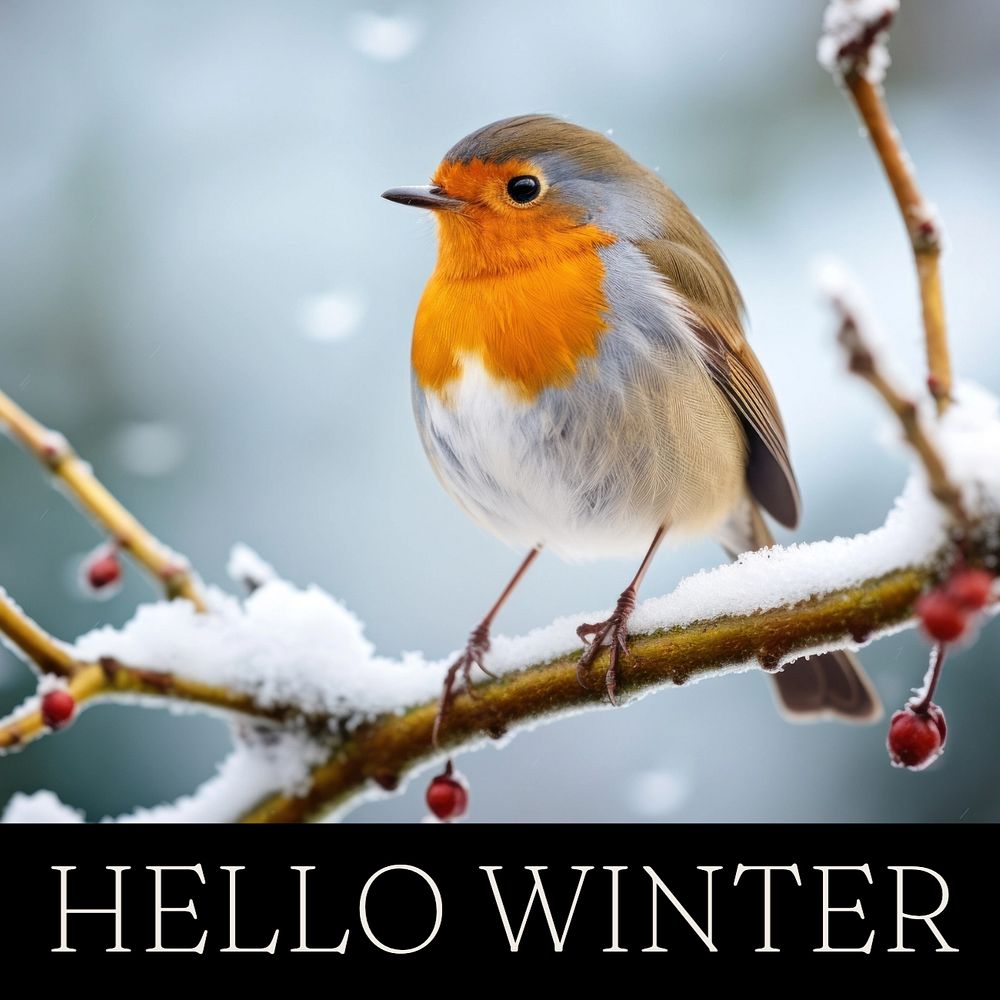 Hello Winter Instagram post template, editable text