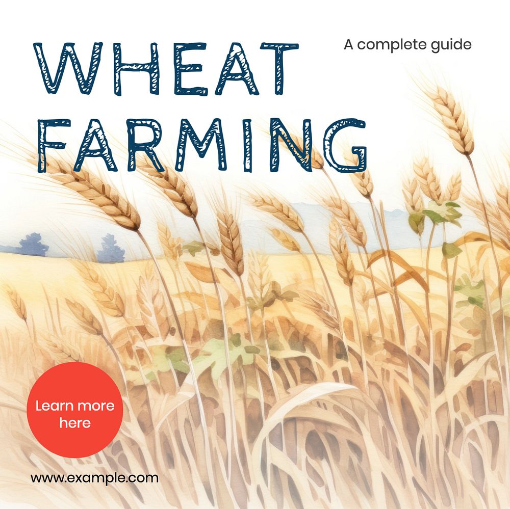 Wheat farming Instagram post template, editable text