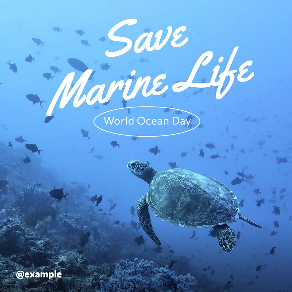 Save marine life Instagram post template, editable text