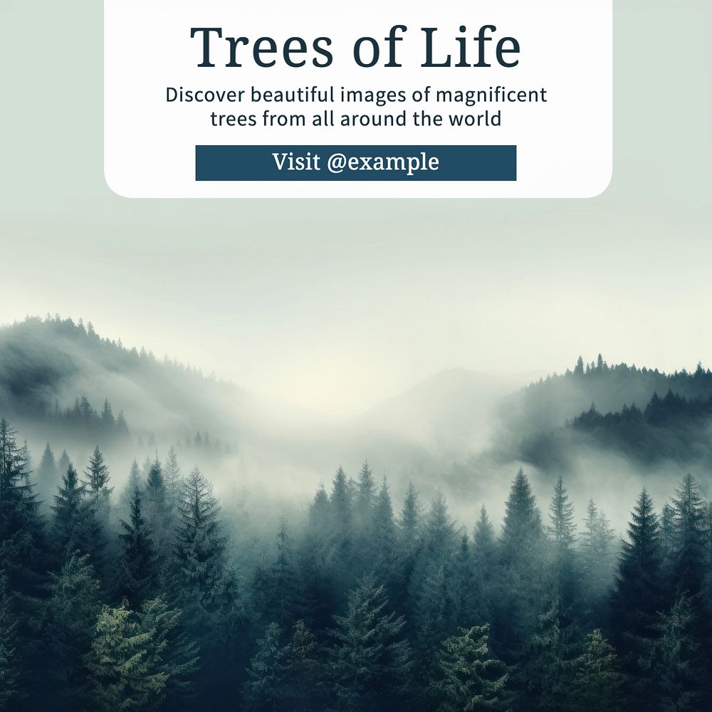 Trees of life Instagram post template, editable text