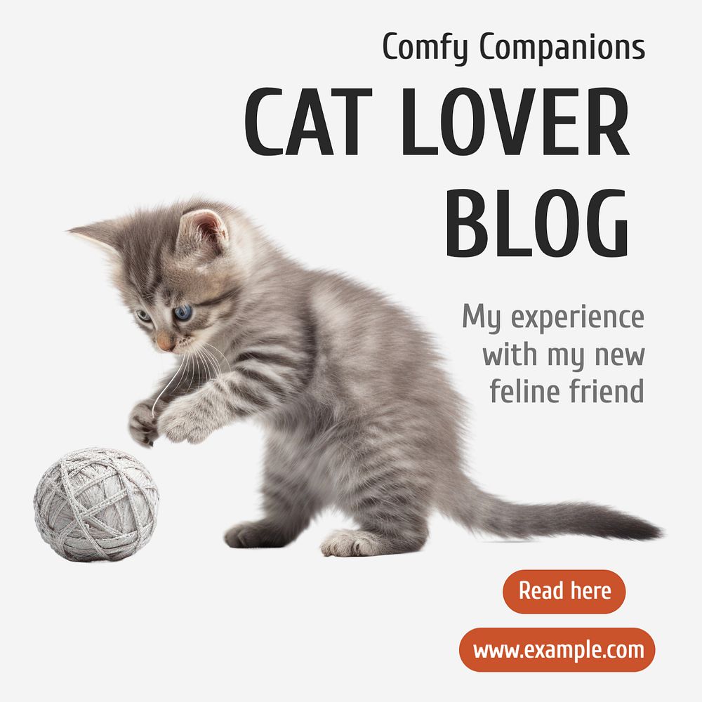 Cat blog Instagram post template, editable text