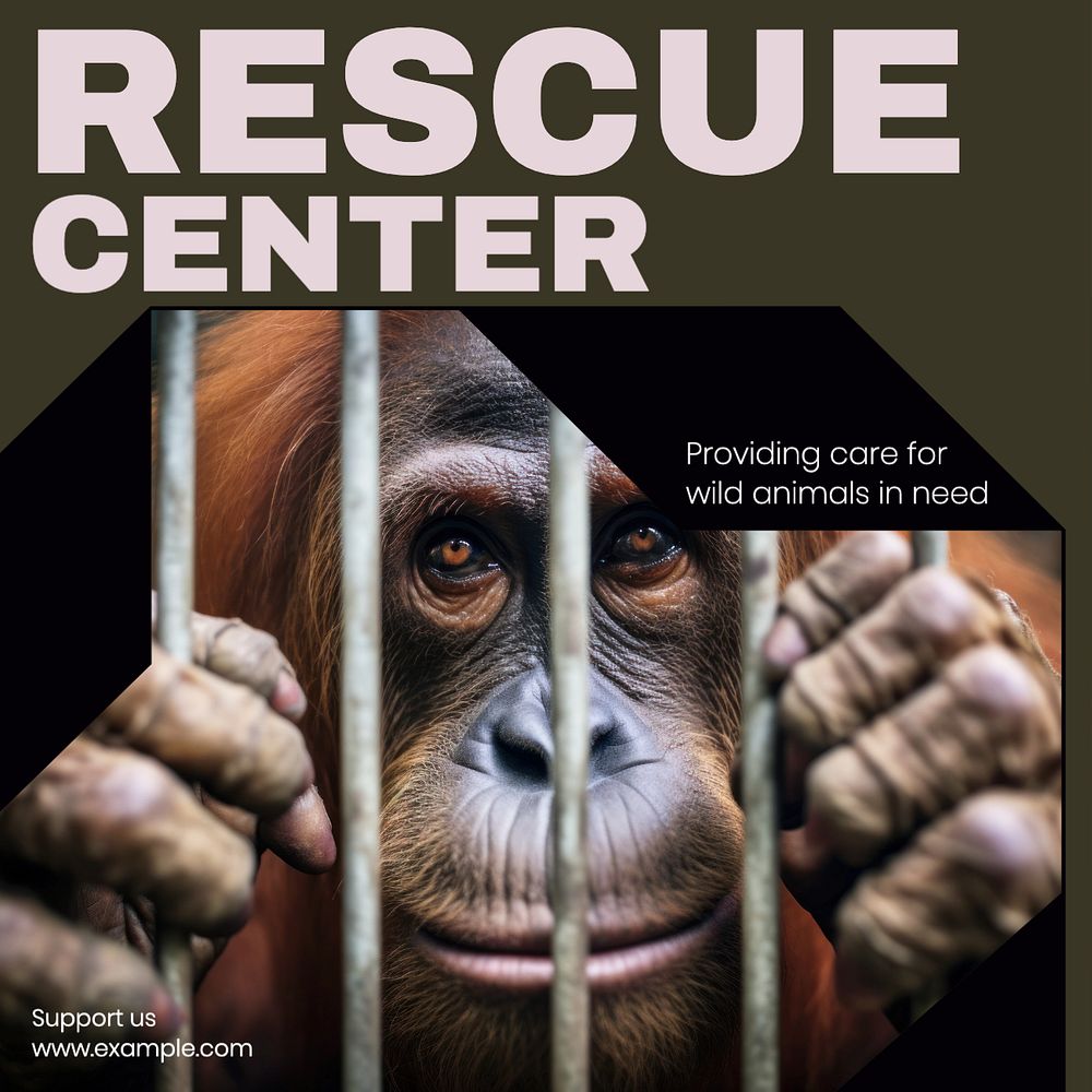 Rescue center Instagram post template, editable text