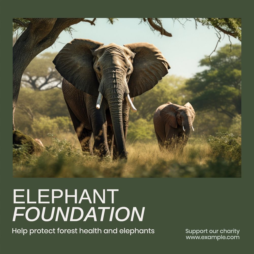 Elephant foundation Instagram post template, editable text