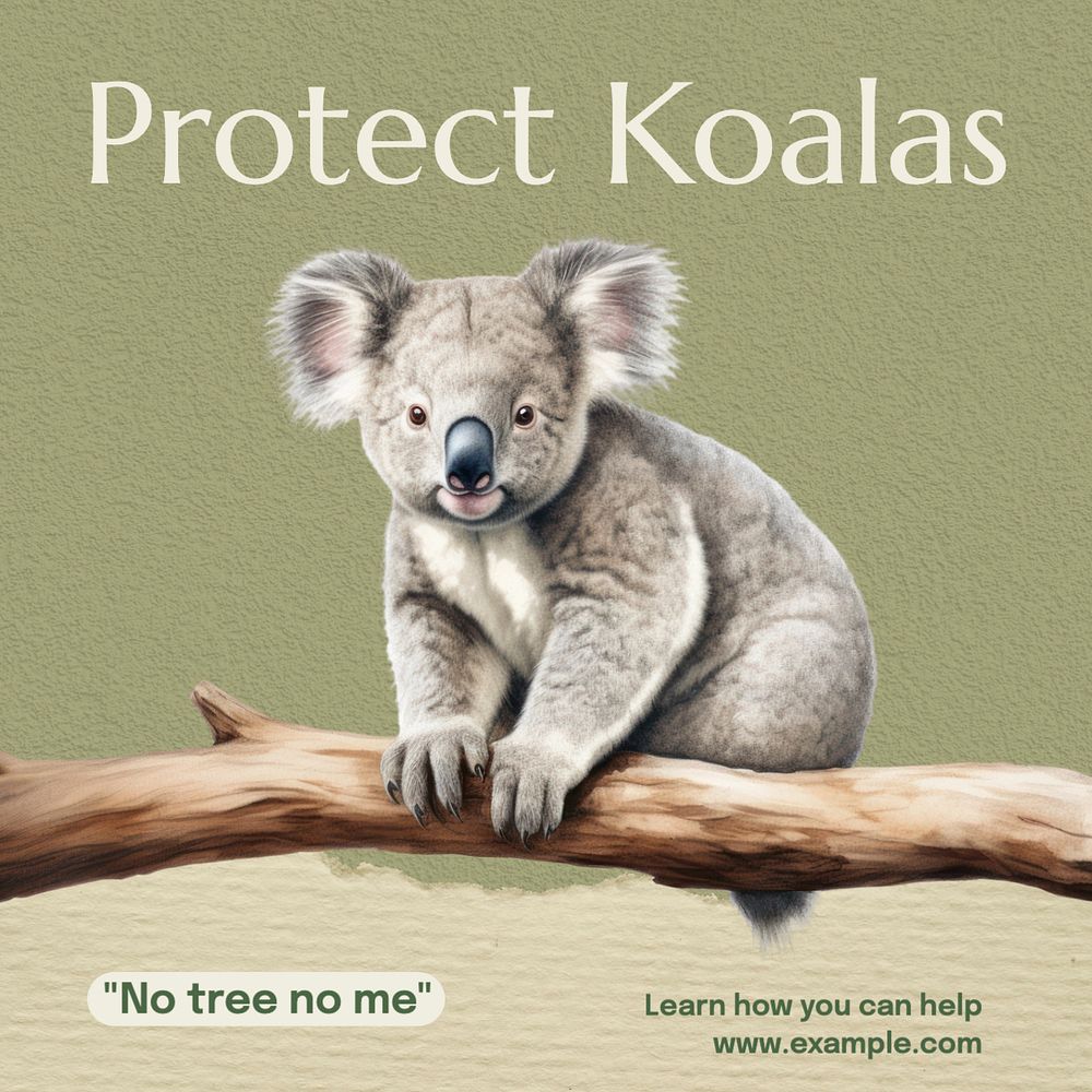 Protect Koalas Instagram post template, editable text