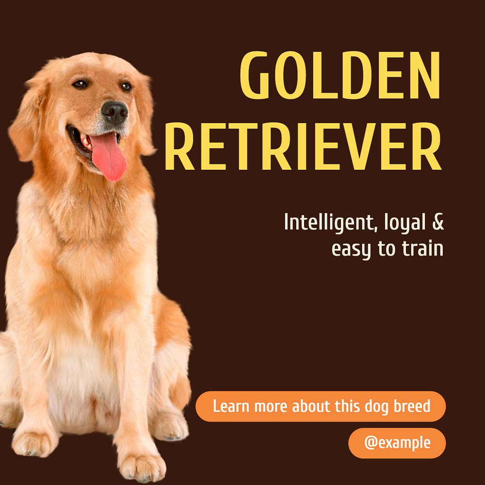 Golden Retriever Instagram post template, editable design