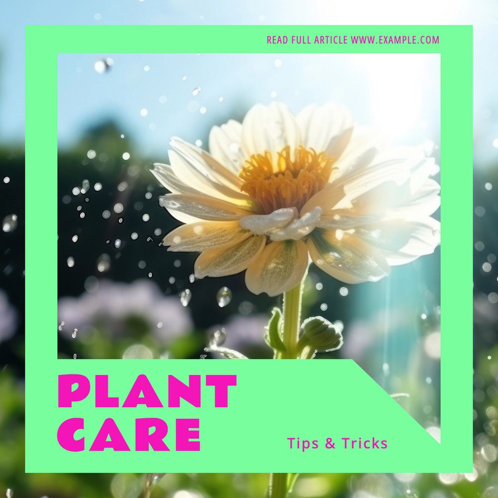 plant care Instagram post template, editable text