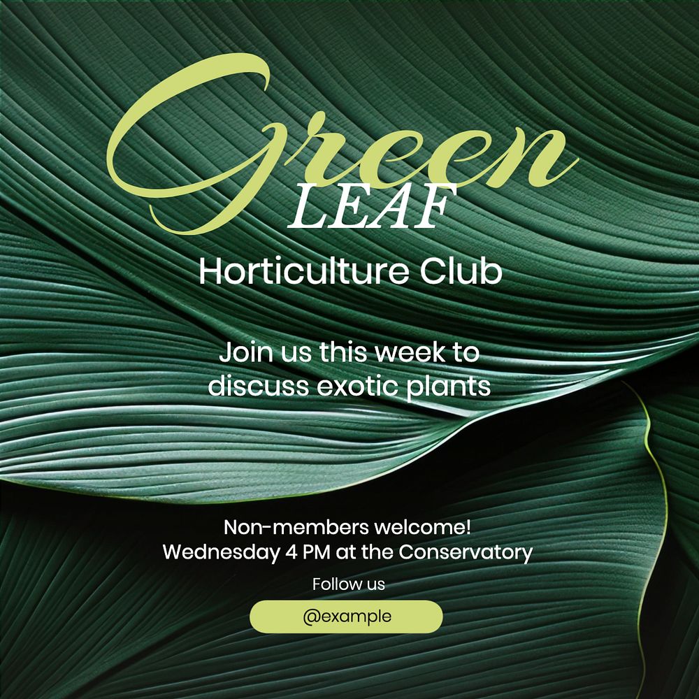 Green leaf club Instagram post template, editable text