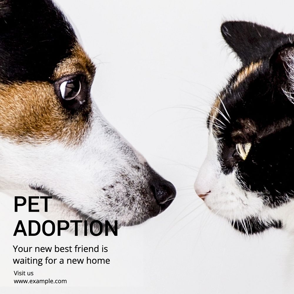 Pet adoption Instagram post template, editable text