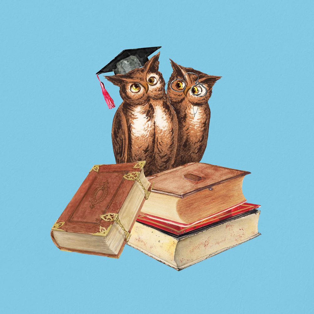 Study owl, education graduation collage remix editable design