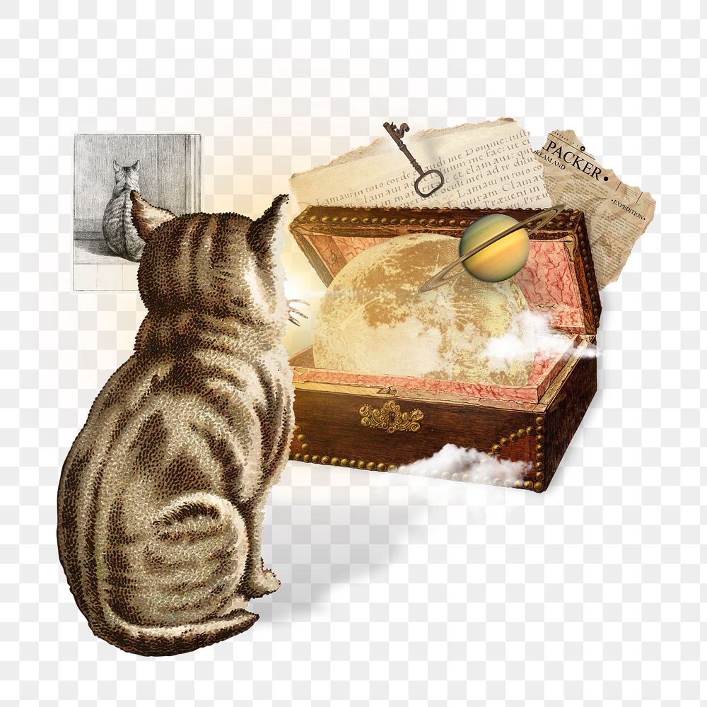 PNG Vintage cat fantasy world illustration transparent background editable design