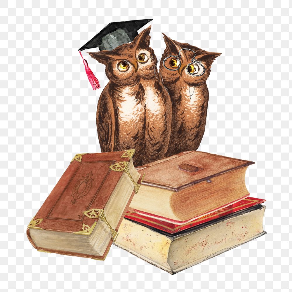 PNG Study owl, education graduation illustration transparent background editable design