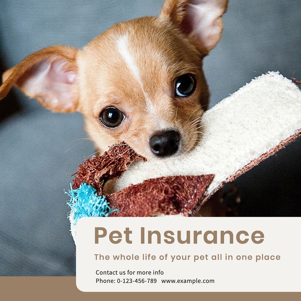 Pet insurance Instagram post template, editable social media design