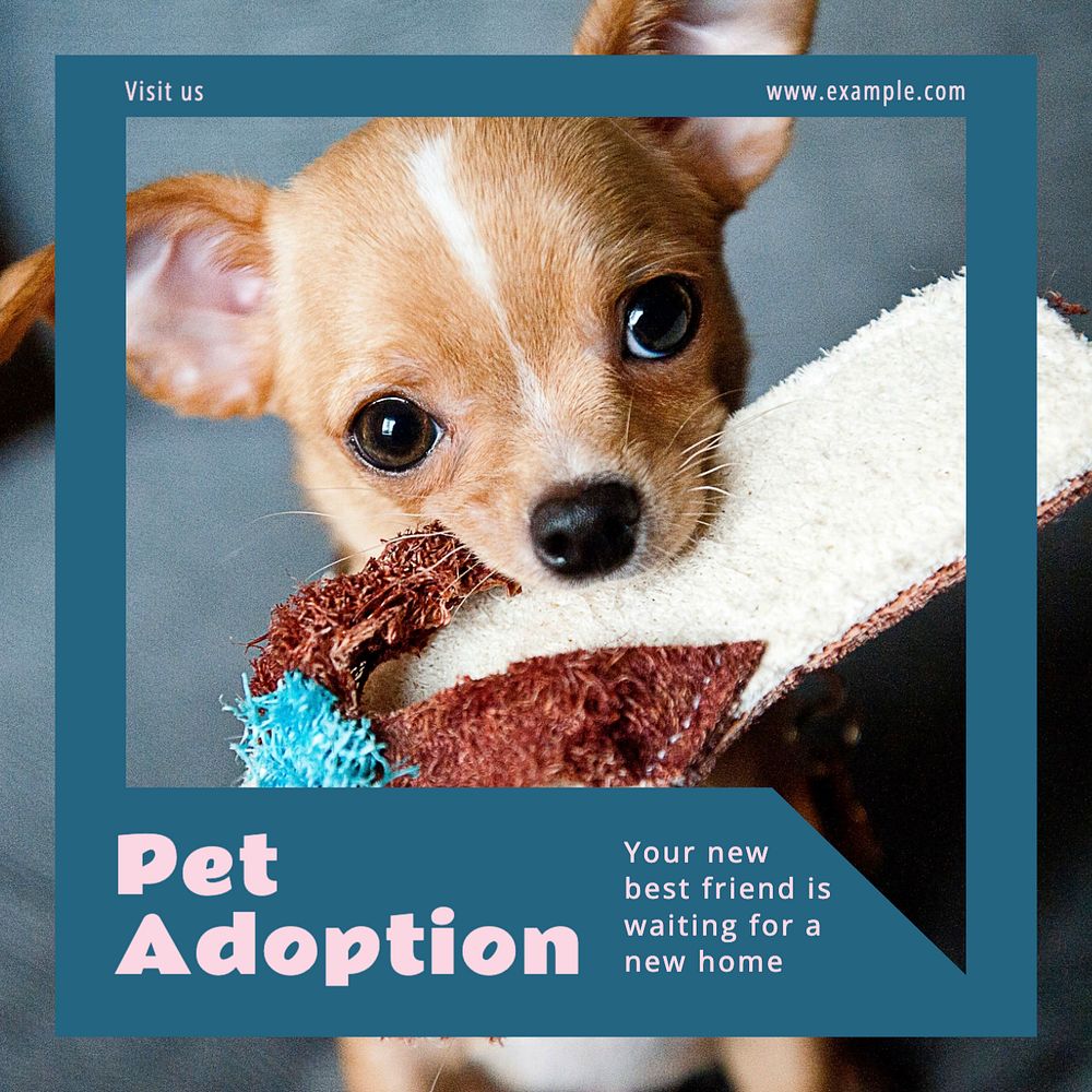 Pet adoption Instagram post template, editable social media design