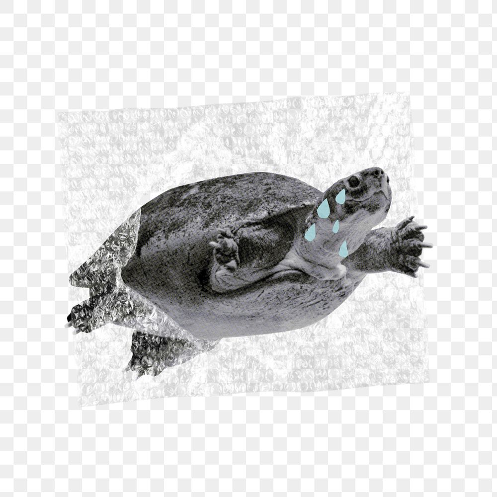 PNG Ocean waste pollution, turtle in plastic illustration transparent background editable design