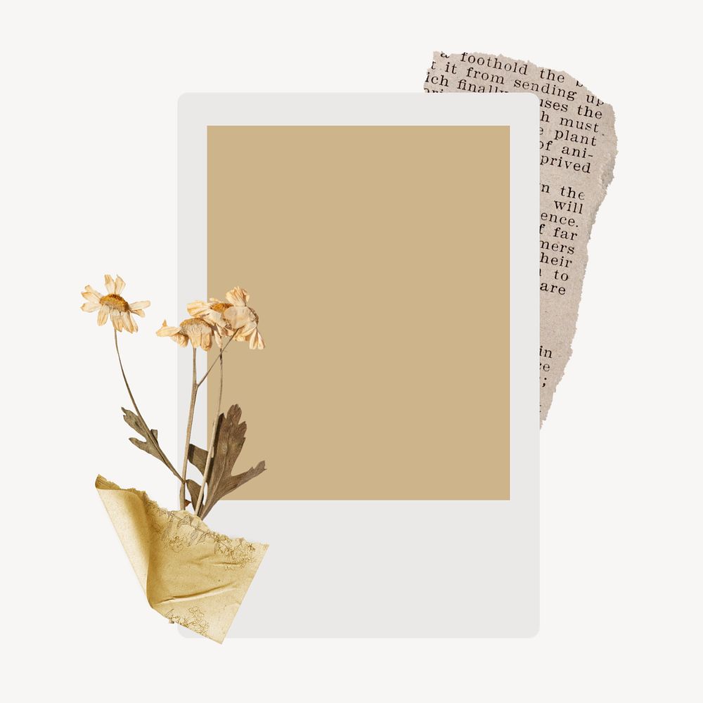 PNG Instant photo frame, vintage design