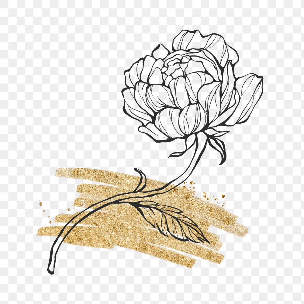 PNG Peony line art collage element, gold brush design, transparent background 