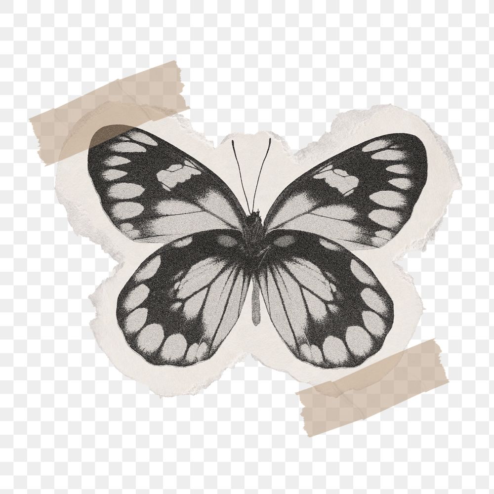 PNG Black butterfly collage element, washi tape design, transparent background 