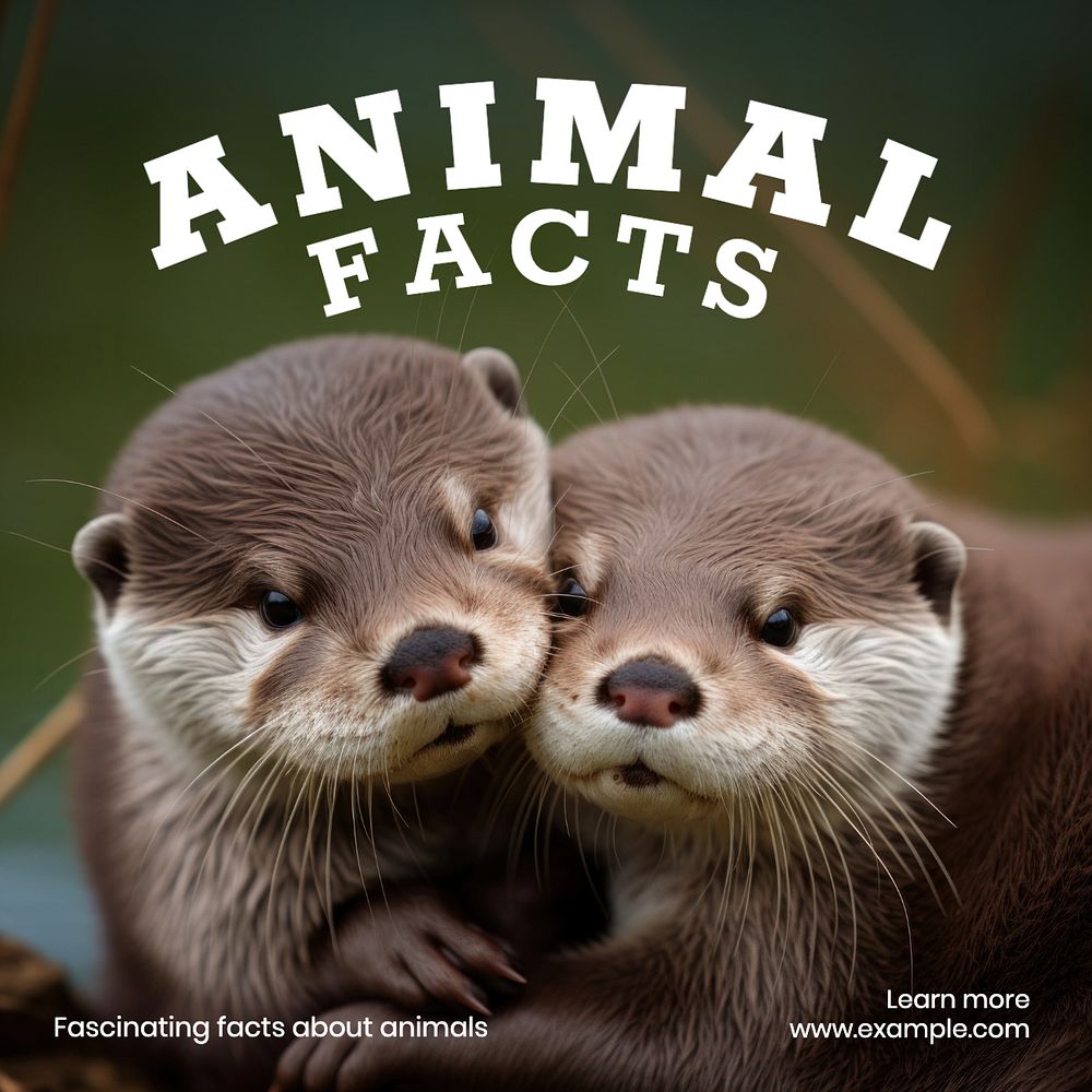 Animal facts Instagram post template, editable social media design