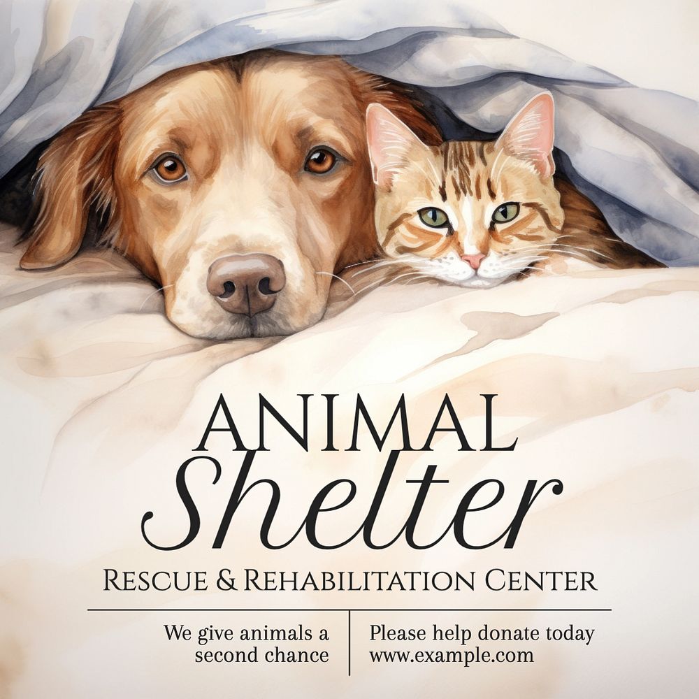 Animal shelter Instagram post template, editable social media design