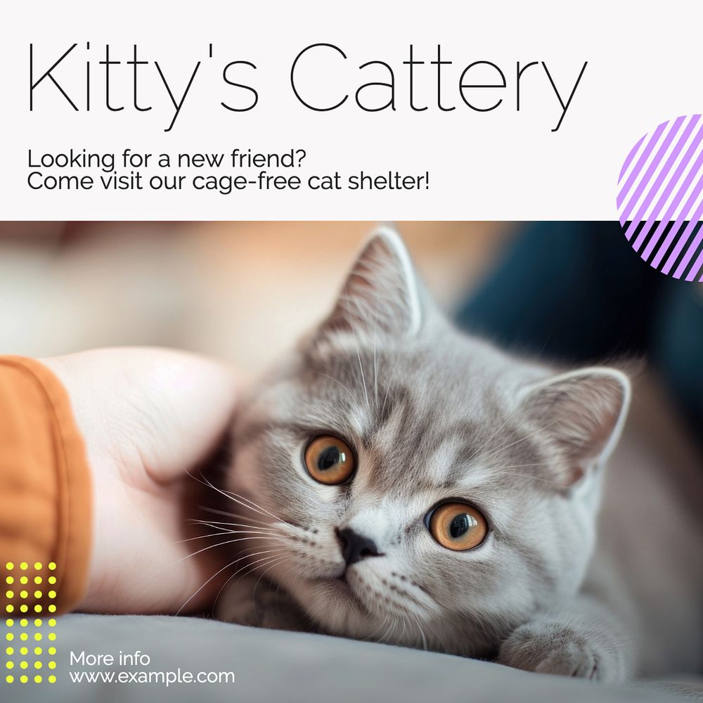 Cattery & shelter Instagram post template, editable social media design