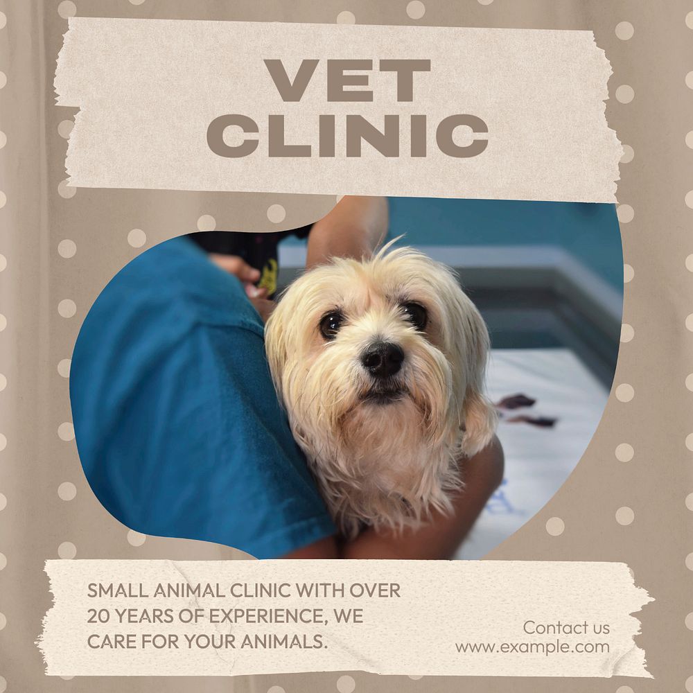 Vet clinic post template, editable design