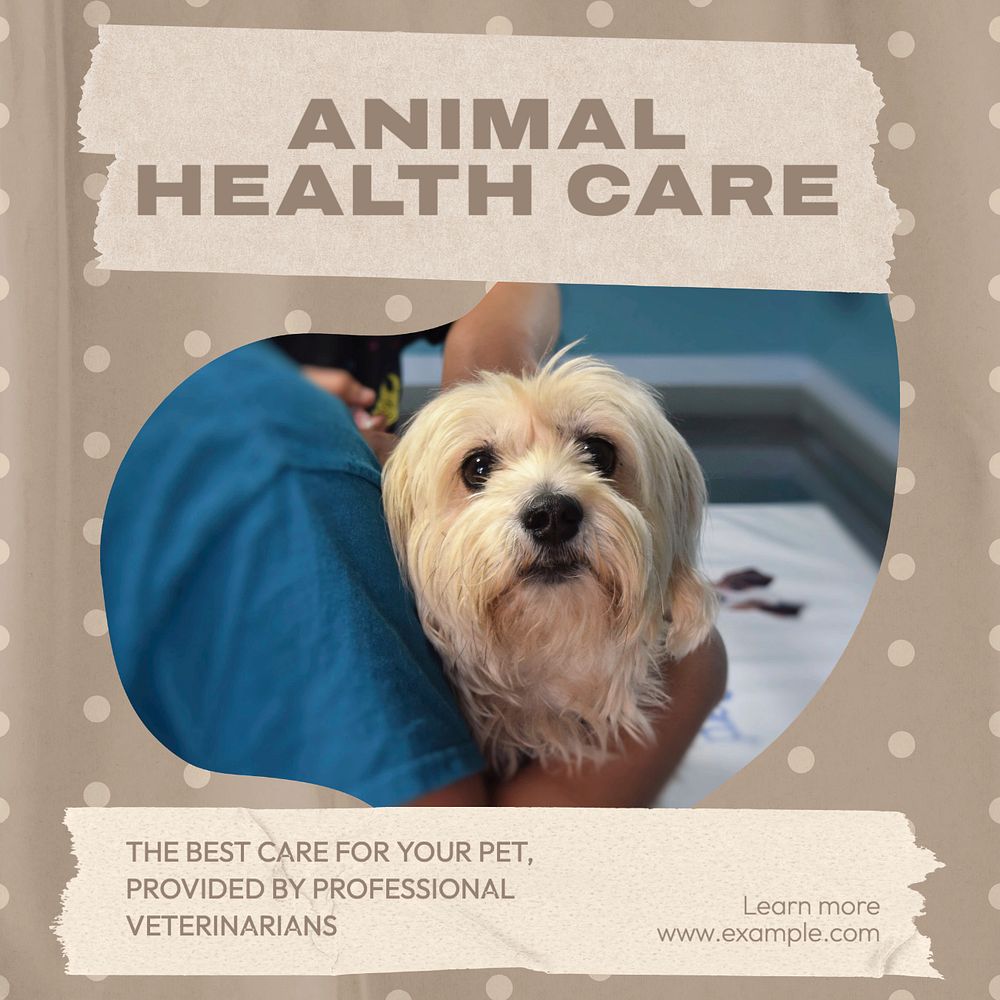 Animal health care post template, editable design