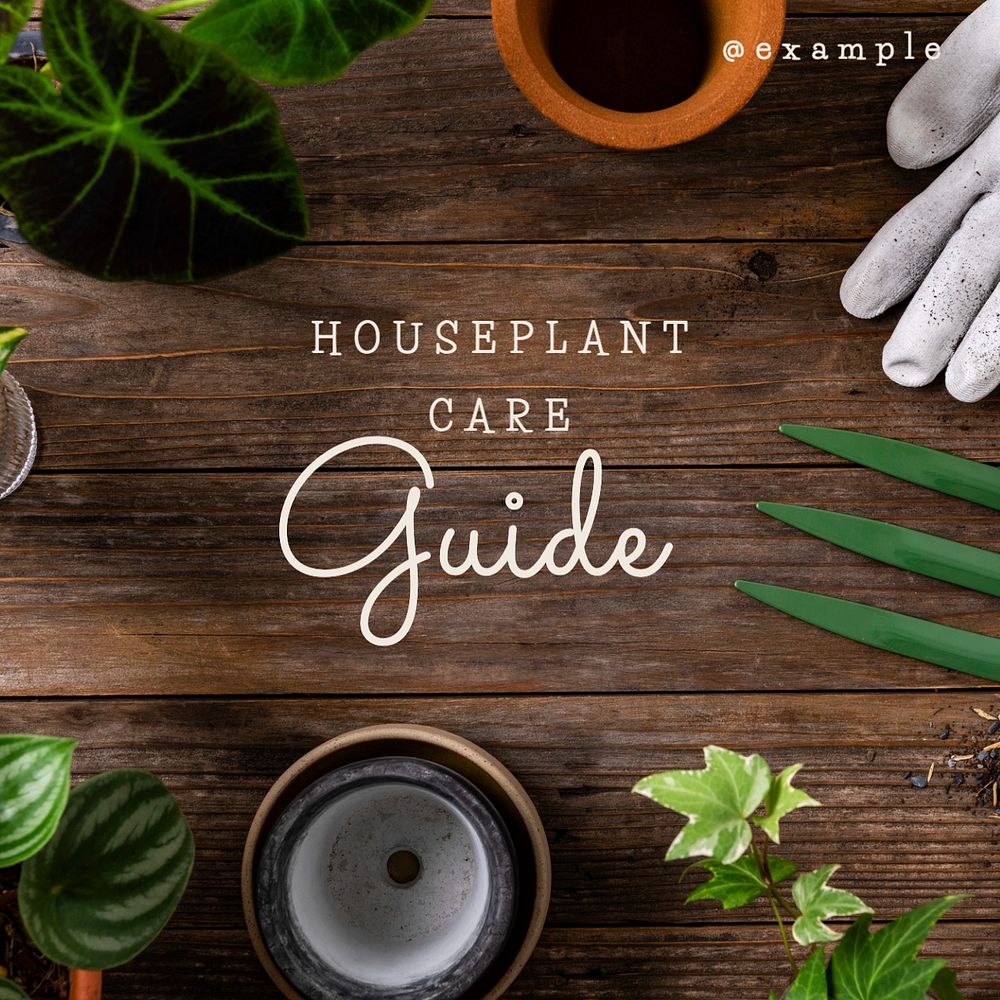 Houseplant care guide Facebook post template, editable design