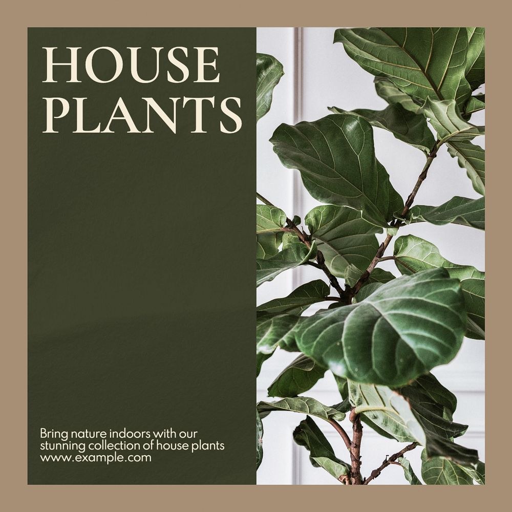 House plants Facebook post template, editable design