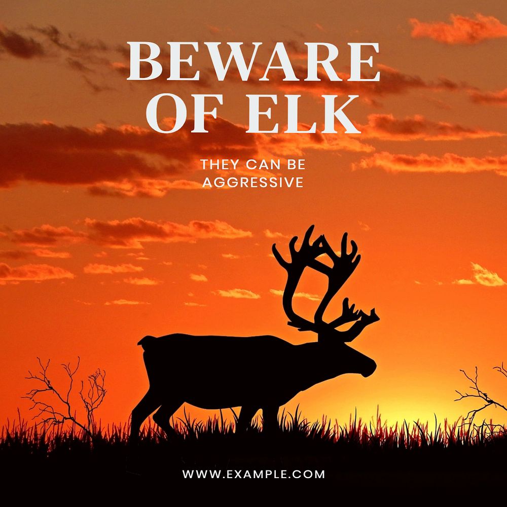 Beware of elk Facebook post template, editable design