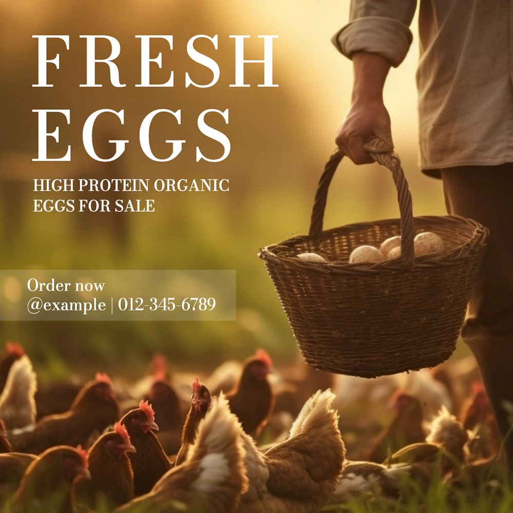 Fresh eggs Facebook post template, editable design