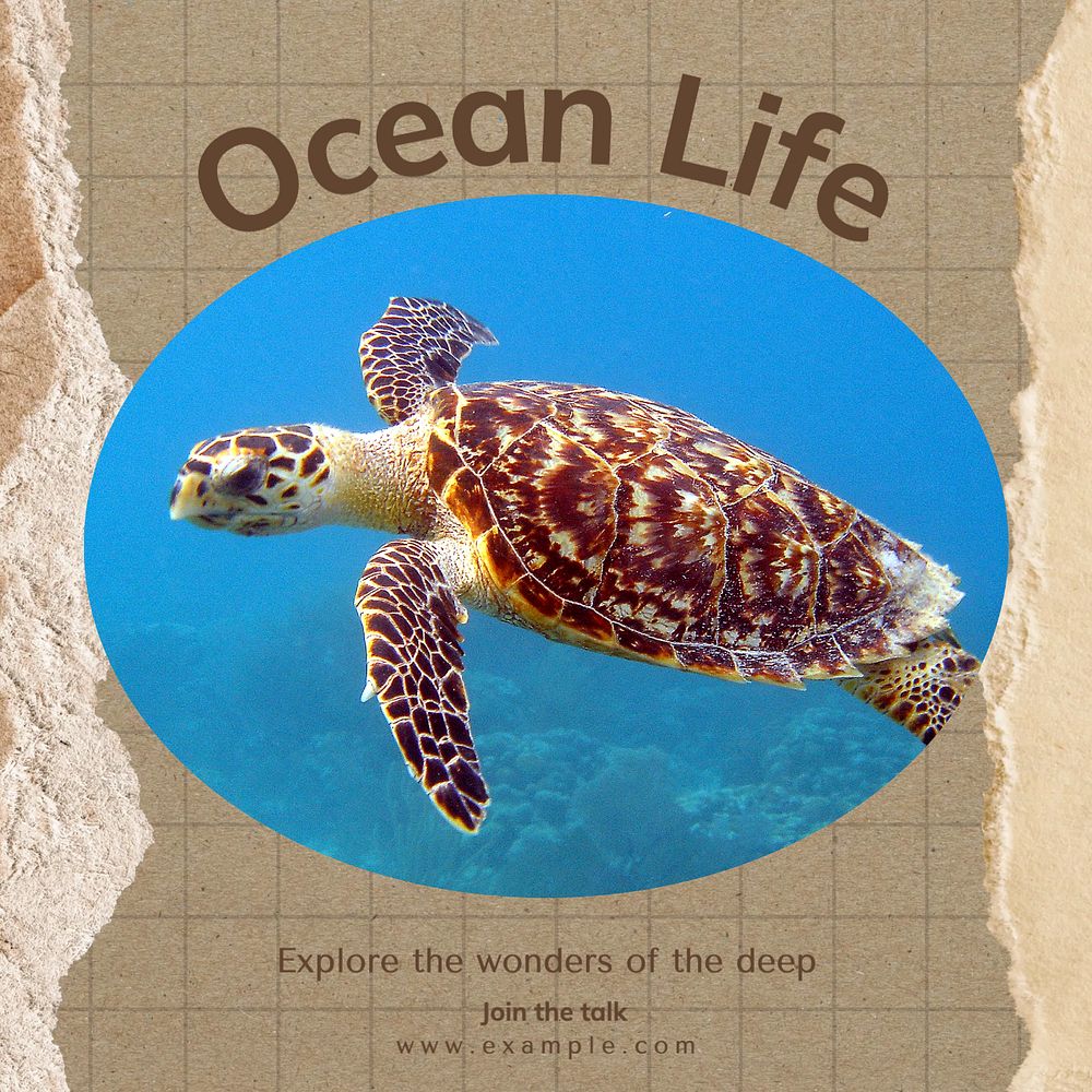 Ocean life Instagram post template