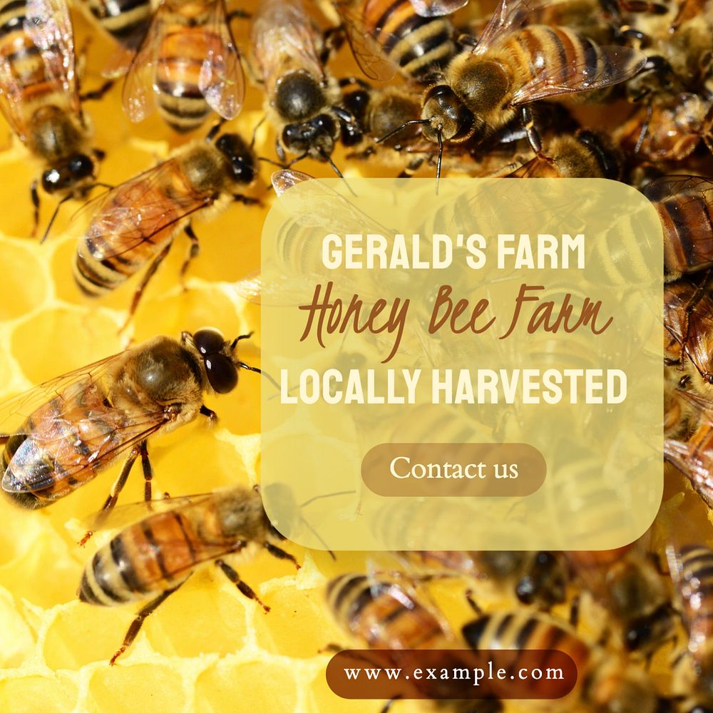 Honey bee farm Facebook post template, editable design