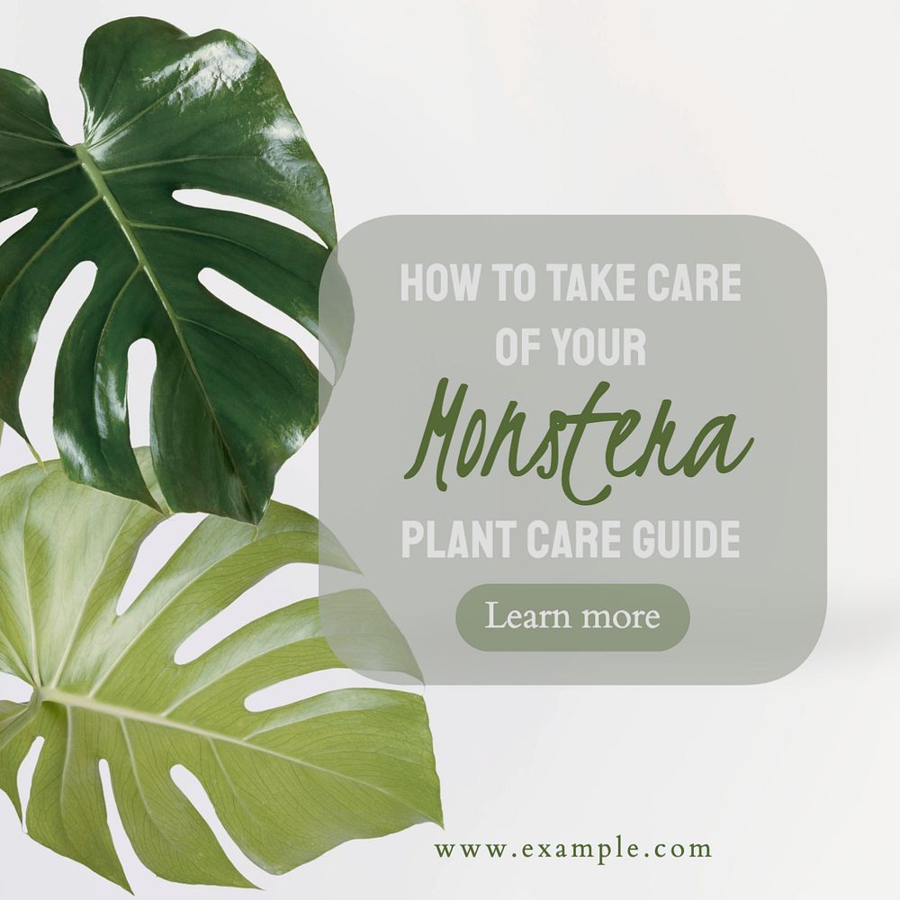 Monstera Facebook post template, editable design