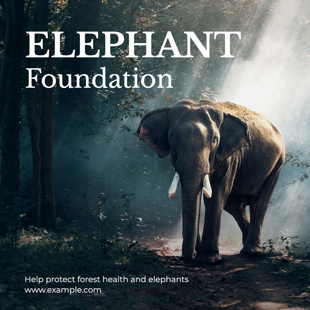 Elephant foundation Facebook post template, editable design