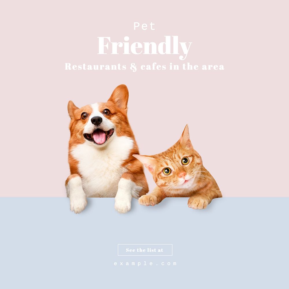 Pet friendly businesses Instagram post template, editable text