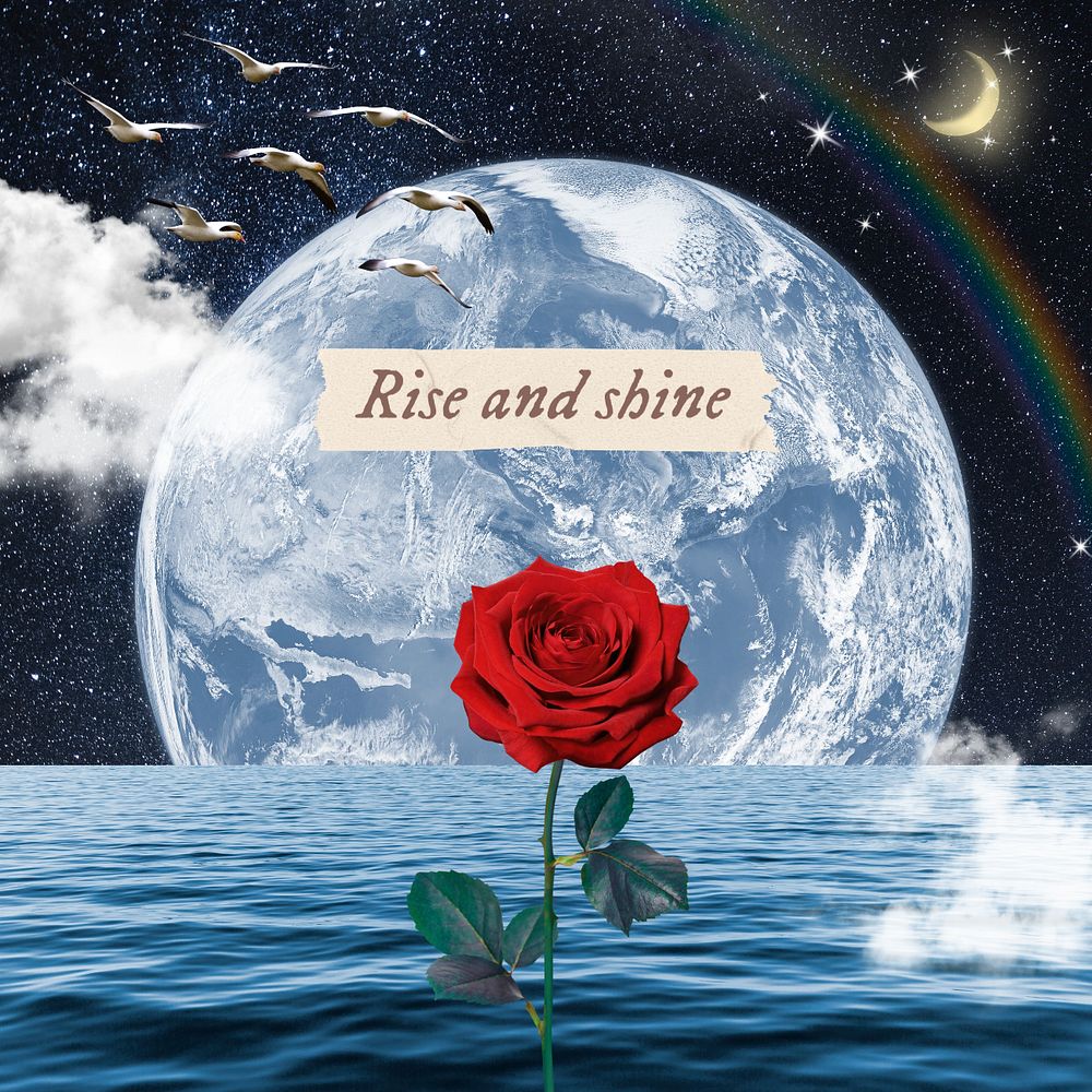 Aesthetic rose and moon template, rise and shine, surreal flower and nature remixed media