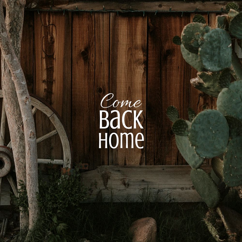 Cactus aesthetic Instagram post template, come back home quote